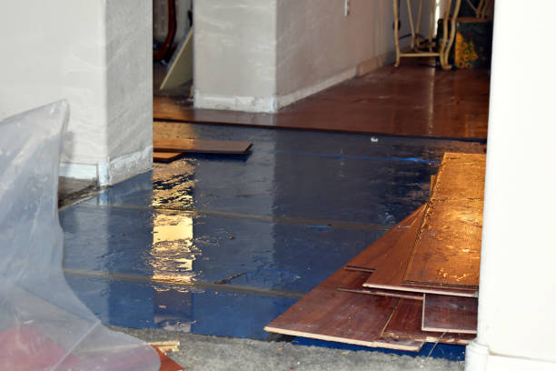 Professional Flood Damage Restoration technician working in Prosperity, PA